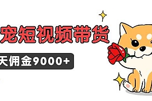 东哲日记·萌宠短视频带货,2天佣金9000+