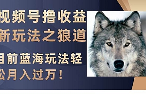 视频号撸收益新玩法之狼道,目前蓝海玩法轻松月入过万!