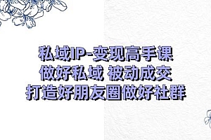 私域IP-变现高手课:做好私域 被动成交,打造好朋友圈做好社群(18节)