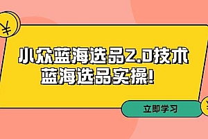 拼多多培训第33期:小众蓝海选品2.0技术-蓝海选品实操!