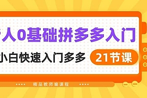 新人0基础拼多多入门,纯小白快速入门多多(21节课)