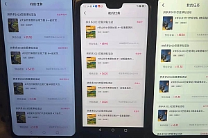 首发 磁力拼多多自撸  日入500+