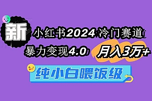 小红书2024冷门赛道 月入3万+ 暴力变现4.0 纯小白喂饭级