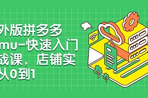海外版拼多多Temu-快速入门实战课,店铺实战从0到1(12节课)