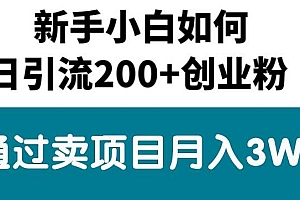 新手小白日引流200+创业粉,通过卖项目月入3W+