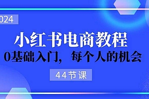 2024从0-1学习小红书电商,0基础入门,每个人的机会(44节)