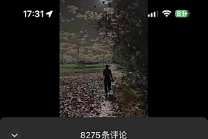 视频号乡村夜景治愈视频课程,一条龙实操玩法(教程+素材+软件)