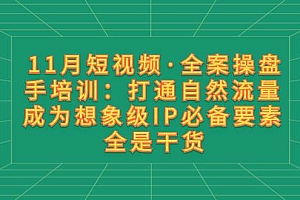 11月短视频·全案操盘手培训:打通自然流量 成为想象级IP必备要素 全是干货
